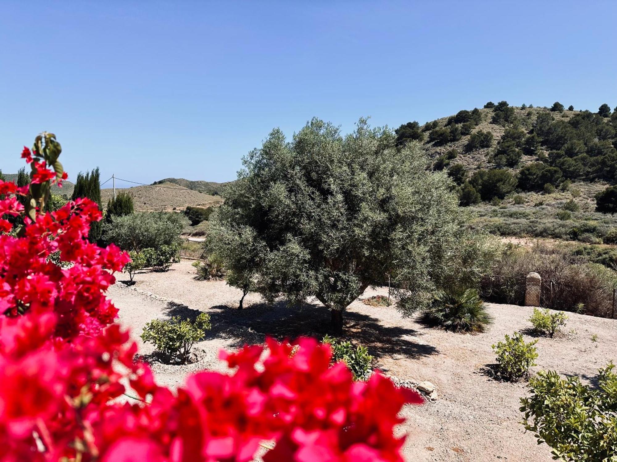 Finca Ocha - Calblanque Los Belones Kültér fotó