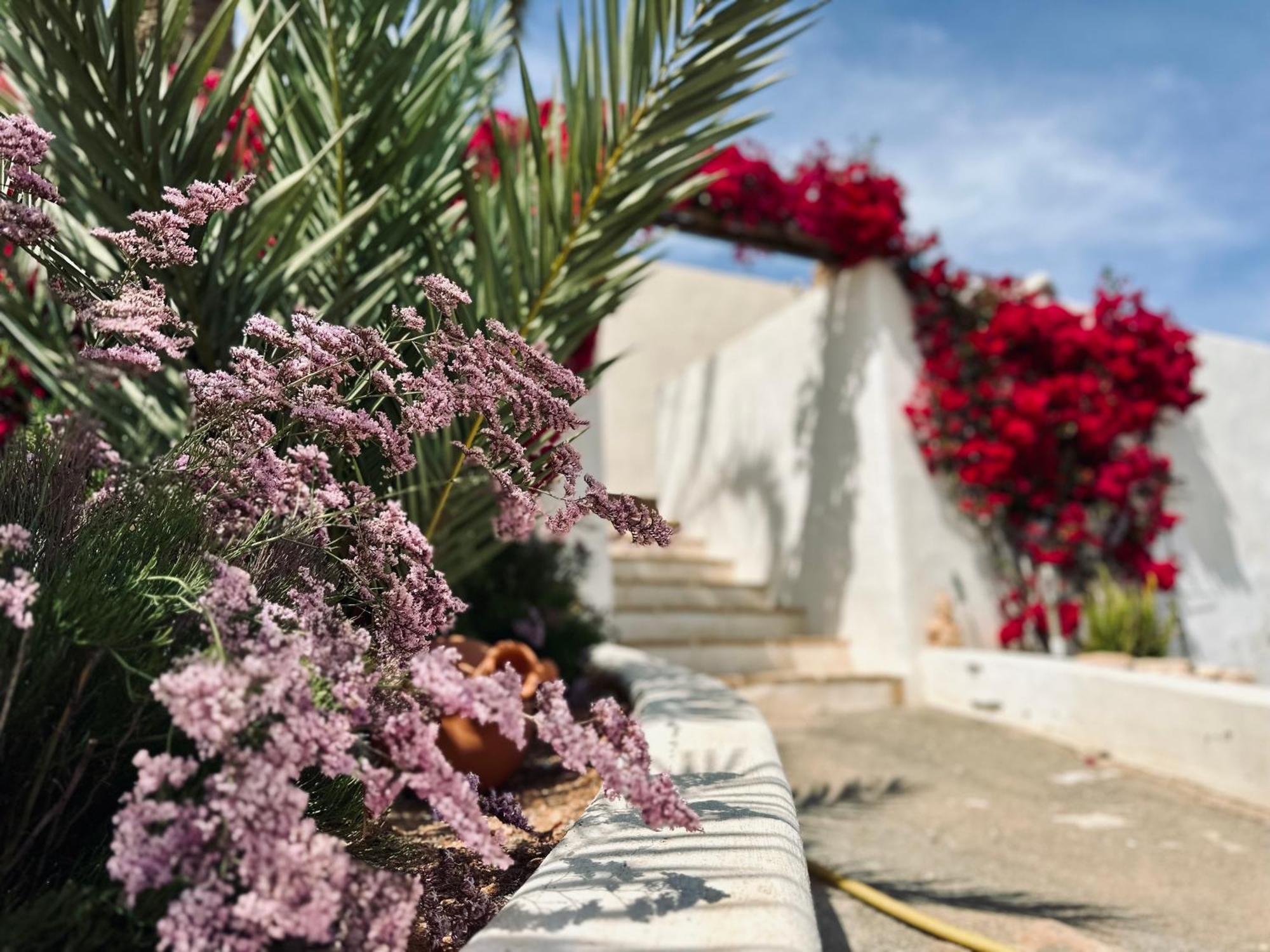Finca Ocha - Calblanque Los Belones Kültér fotó