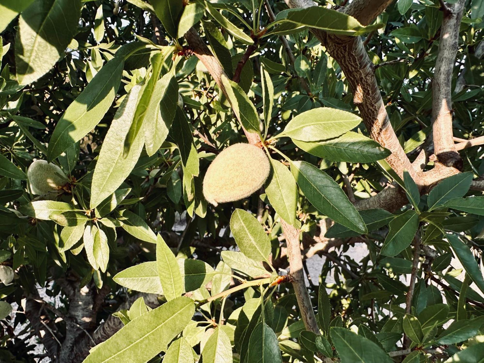 Finca Ocha - Calblanque Los Belones Kültér fotó