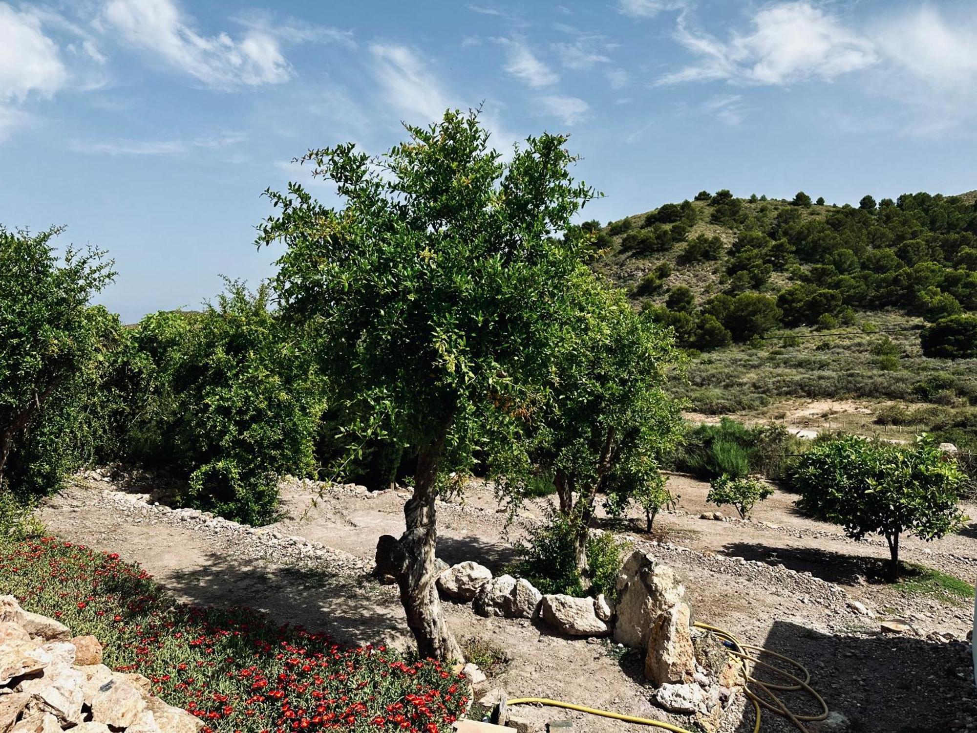 Finca Ocha - Calblanque Los Belones Kültér fotó