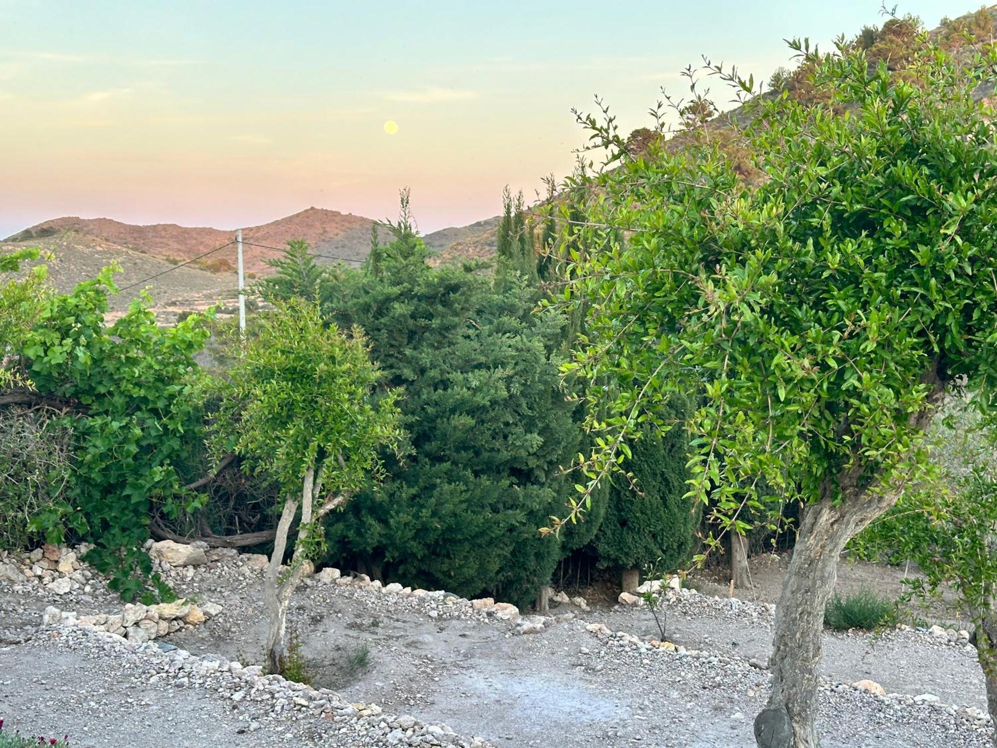 Finca Ocha - Calblanque Los Belones Kültér fotó