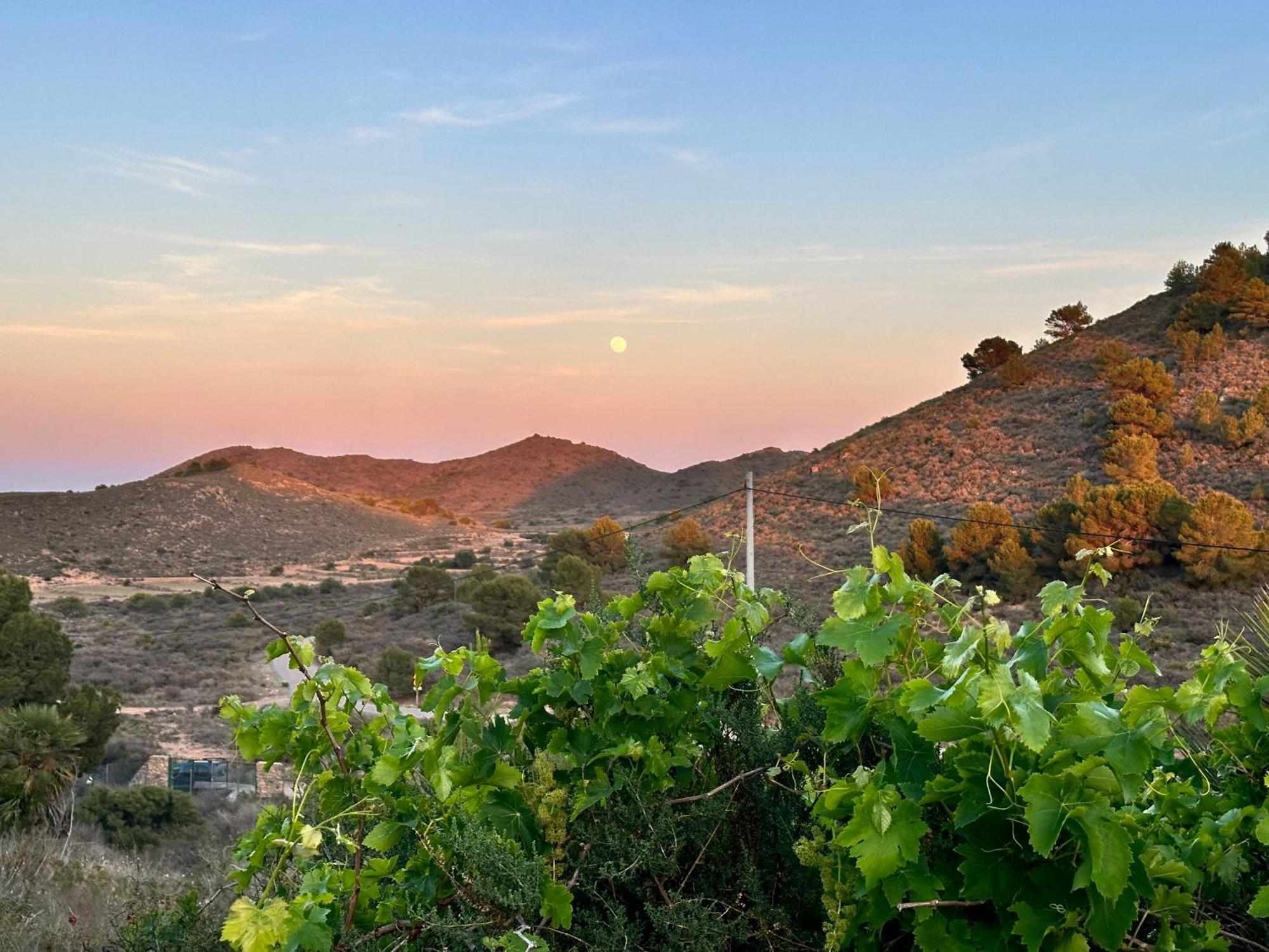 Finca Ocha - Calblanque Los Belones Kültér fotó