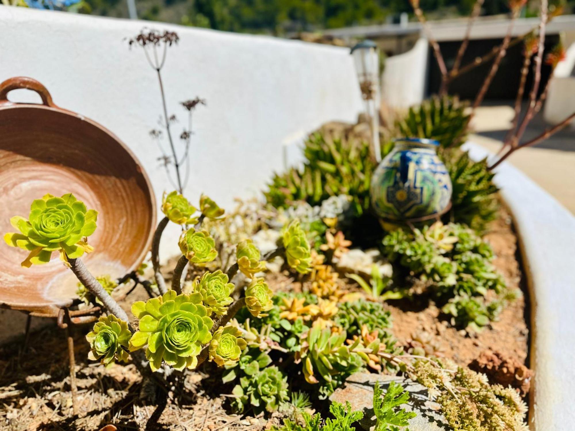 Finca Ocha - Calblanque Los Belones Kültér fotó