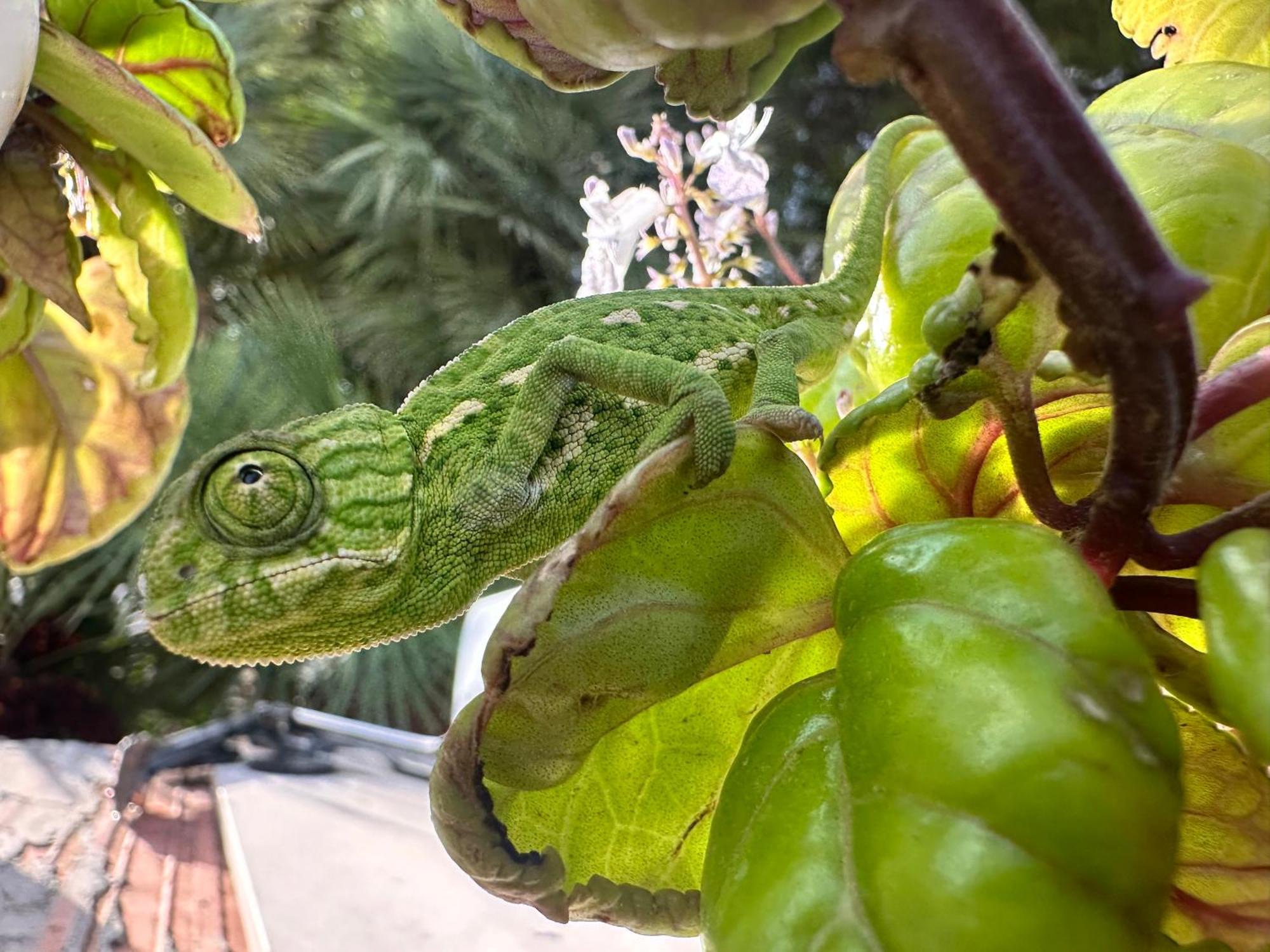 Finca Ocha - Calblanque Los Belones Kültér fotó