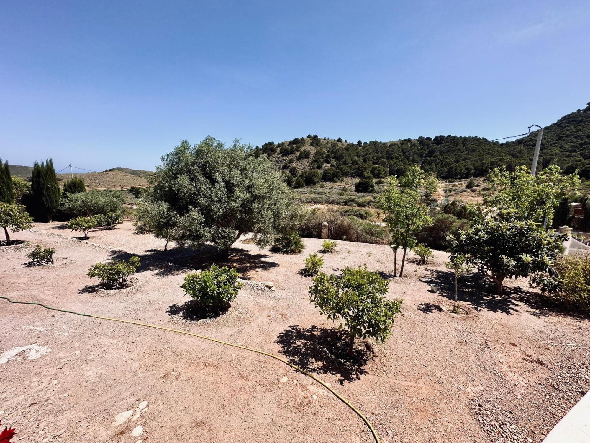 Finca Ocha - Calblanque Los Belones Kültér fotó