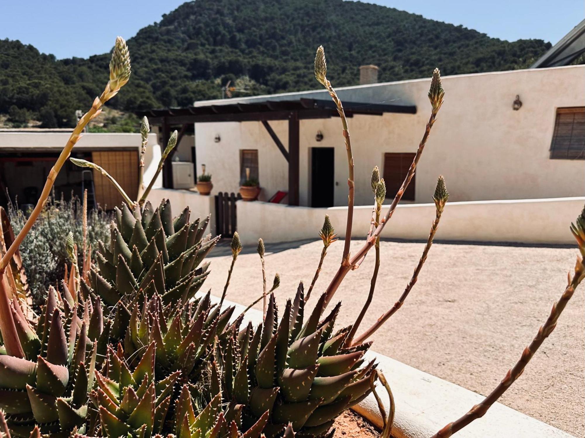Finca Ocha - Calblanque Los Belones Kültér fotó