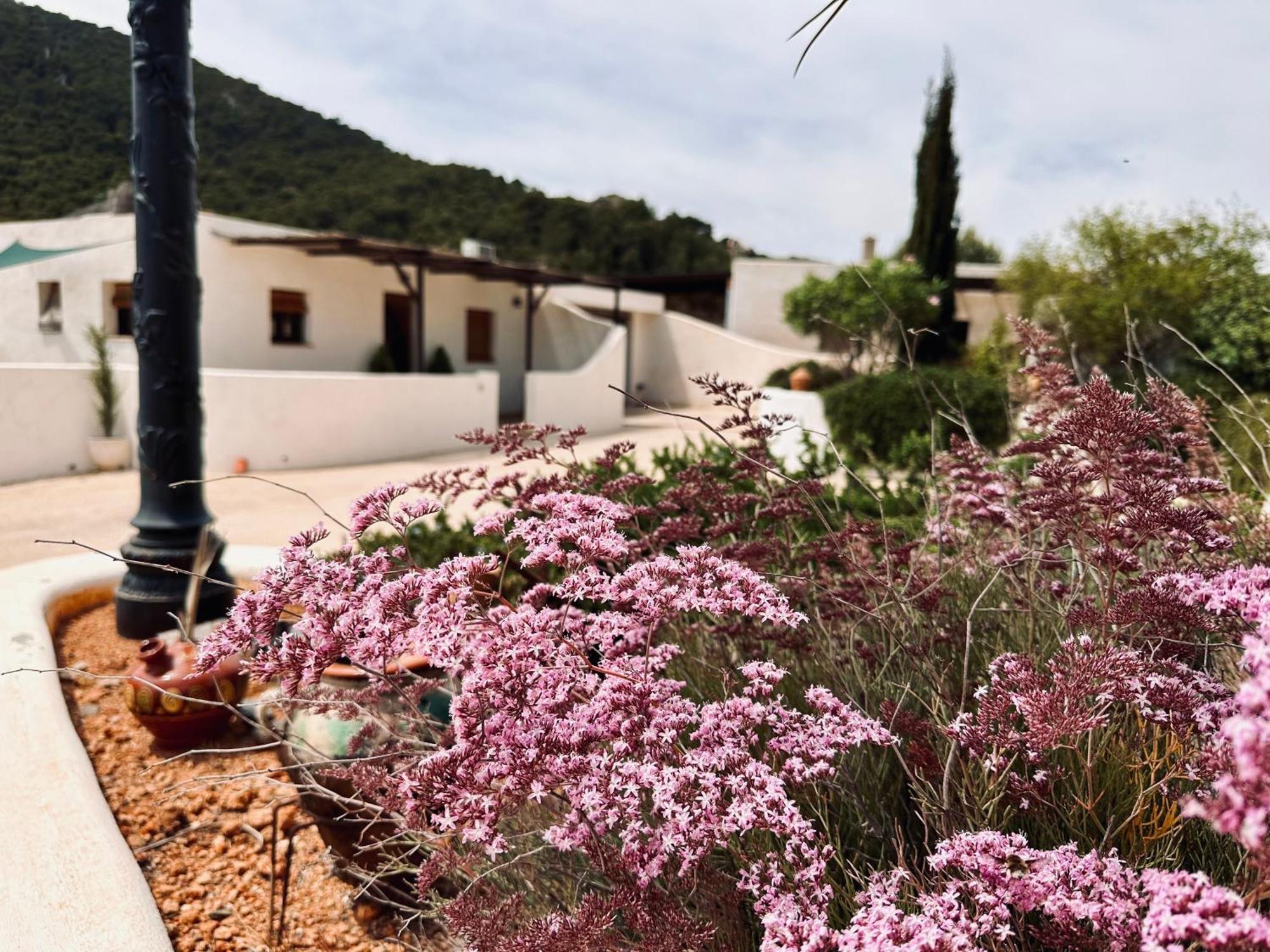 Finca Ocha - Calblanque Los Belones Kültér fotó
